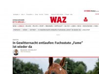 Bild zum Artikel: Gewitter: Gewitternacht in Bottrop: Entlaufenes Pferd wird gesucht
