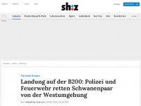 Bild zum Artikel: Landung auf der B200: Polizei und Feuerwehr retten Schwanenpaar von der Westumgehung