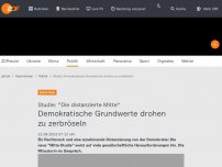 Bild zum Artikel: Demokratische Grundwerte drohen zu zerbröseln