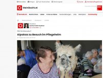 Bild zum Artikel: Alpakas zu Besuch im Pflegeheim