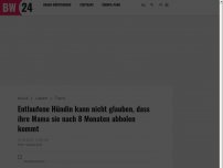 Bild zum Artikel: Entlaufene Hündin kann nicht glauben, dass ihre Mama sie nach 8 Monaten abholen kommt