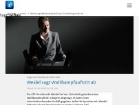 Bild zum Artikel: Weidel sagt Wahlkampfauftritt aus Sicherheitsgründen ab