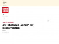 Bild zum Artikel: AfD-Chef nach Vorfall auf Intensivstation