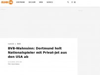 Bild zum Artikel: BVB-Wahnsinn: Dortmund holt Nationalspieler mit Privat-Jet aus den USA ab