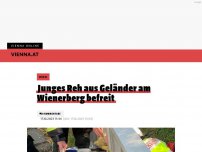 Bild zum Artikel: Junges Reh aus Geländer am Wienerberg befreit