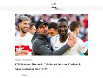 Bild zum Artikel: VfB-Trainer Hoeneß: 'Habe nicht den Eindruck, dass Guirassy weg will'