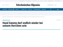 Bild zum Artikel: Hund Sammy darf endlich wieder bei seinem Herrchen sein