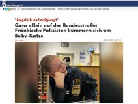 Bild zum Artikel: Ganz allein auf der Bundesstraße: Fränkische Polizisten kümmern sich um Baby-Katze