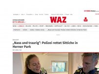 Bild zum Artikel: Blaulicht: „Nass und traurig“: Polizei rettet Sittiche in Herner Park