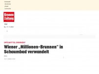 Bild zum Artikel: Wiener „Millionen-Brunnen“ in Schaumbad verwandelt