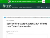 Bild zum Artikel: Teuer-Schock für E-Autos: Großer Fehler rächt sich 2024