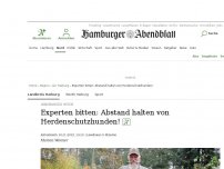 Bild zum Artikel: Lüneburger Heide: Experten bitten: Abstand halten von Herdenschutzhunden!