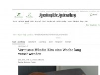 Bild zum Artikel: Geesthacht: Vermisste Hündin Kira eine Woche lang verschwunden