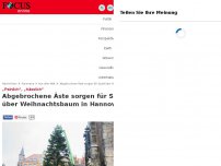Bild zum Artikel: „Peinlich“, „hässlich“ - Abgebrochene Äste sorgen für Spott über Weihnachtsbaum in Hannover