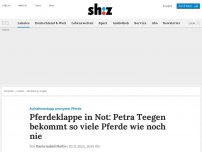 Bild zum Artikel: Pferdeklappe in Not: Petra Teegen bekommt so viele Pferde wie noch nie