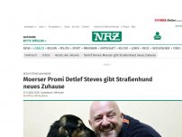 Bild zum Artikel: Detlef Steves aus Moers: Moers: Promi Detlef Steves gibt Straßenhund neues Zuhause