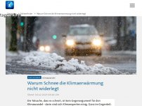 Bild zum Artikel: Warum Schnee die Klimaerwärmung nicht widerlegt