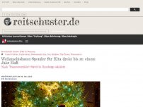 Bild zum Artikel: Weihnachtsbaum-Spender für Kita droht bis zu einem Jahr Haft