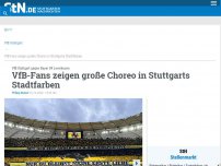 Bild zum Artikel: VfB Stuttgart gegen Bayer 04 Leverkusen: VfB-Fans zeigen große Choreo in Stuttgarts Stadtfarben