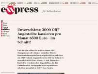 Bild zum Artikel: Unverschämt: 3000 ORF-Angestellte kassieren pro Monat 6500 Euro – im Schnitt!