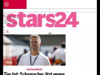 Bild zum Artikel: Tier tot: Schumacher ätzt gegen Böller-Irrsinn
