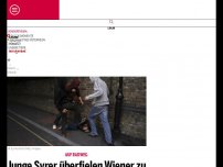 Bild zum Artikel: Junge Syrer überfielen Wiener zu Silvester