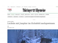 Bild zum Artikel: Umwelt und Natur: Luchsin mit Jungtier im Eichsfeld nachgewiesen