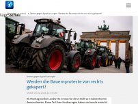 Bild zum Artikel: Demos gegen Agrarkürzungen: Werden die Bauernproteste von rechts gekapert?