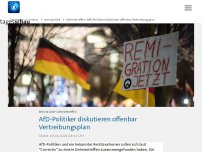 Bild zum Artikel: Geheimtreffen: AfD-Politiker diskutieren offenbar Vertreibungsplan