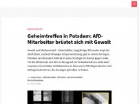 Bild zum Artikel: Geheimtreffen in Potsdam: AfD-Mitarbeiter brüstet sich mit Gewalt
