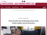 Bild zum Artikel: Kriegt Gustl endlich ein Zuhause?