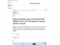 Bild zum Artikel: Das Moritzburger Aschenbrödel erfüllt sich mit Filmpferd Catano einen Traum