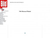 Bild zum Artikel: Mit Riesen-Plakat - Sixt verspottet Benko nach Elbtower-Aus