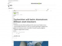 Bild zum Artikel: Tschechien will beim Atomstrom klotzen statt kleckern