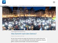 Bild zum Artikel: Proteste gegen Rechtsextremismus: Was kommt nach den Demos?