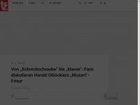 Bild zum Artikel: Von „Schreckschraube“ bis „Klasse“: Fans diskutieren Harald Glööcklers „Mozart“-Frisur