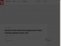 Bild zum Artikel: Karriere-Push dank Dschungelcamp? Heinz Hoenig ergattert neuen Job